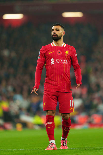 样性选择的 样性选择的